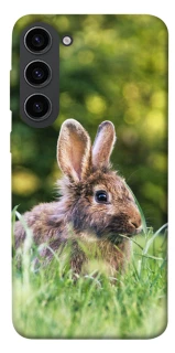 Чехол на Samsung Galaxy S23 Кролики фото 1 из 1