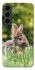 Чехол на Samsung Galaxy S23 Кролики фото 1 из 1