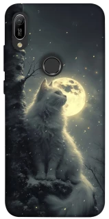 Чехол на Huawei Y6 (2019) Кот под луной фото 1 из 1