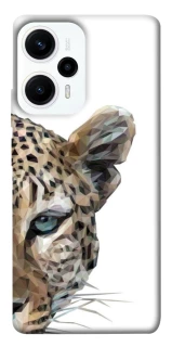 Чохол на Xiaomi Poco F5 / Note 12 Turbo Leopard Art v2 фото 1 з 1