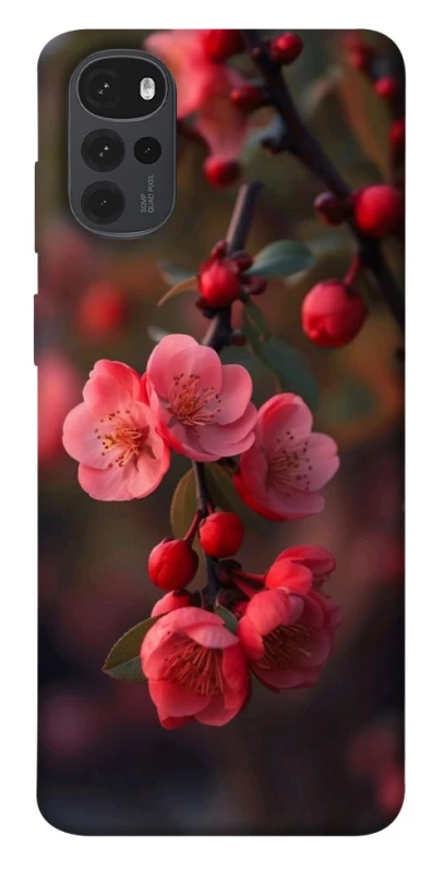 Чехол на Motorola Moto G22 Flowers v28 фото 1 из 1