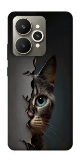 Чохол на Realme 15 Кіт-підглядач v2 фото 1 з 1