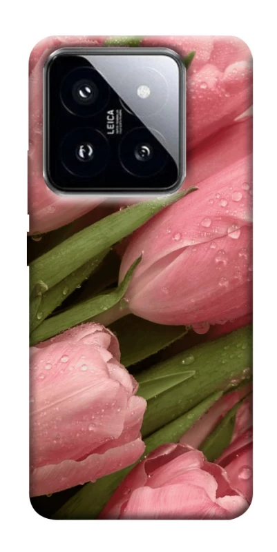 Чохол на Xiaomi 14 Pro Beauty фото 1 з 1