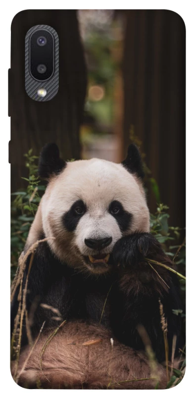 Чохол на Samsung Galaxy A02 Панда фото 1 з 1