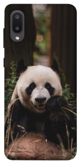 Чохол на Samsung Galaxy A02 Панда фото 1 з 1