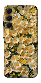 Чохол на Samsung Galaxy A17 4G/5G Camomile фото 1 з 1