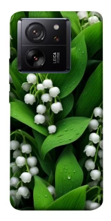 Чохол на Xiaomi 13T Flowers v24 фото 1 з 1