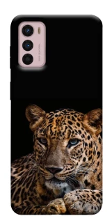Чохол на Motorola Moto G42 Leopard v4 фото 1 з 1