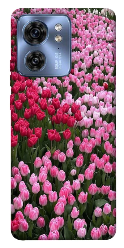 Чохол на Motorola Edge 40 Flowers v9 фото 1 з 1