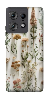 Чохол на Motorola Edge 50 Pro Floral design ver.2 фото 1 з 1