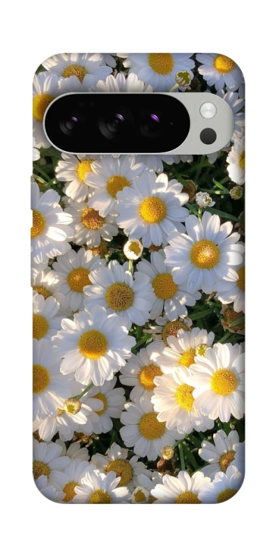 Чехол на Google Pixel 10 Pro Поле ромашек фото 1 из 1
