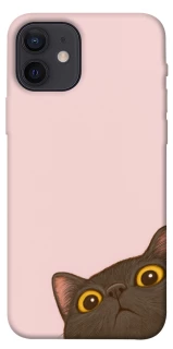 Чохол на Apple iPhone 12 (6.1") Peeping cat фото 1 з 1
