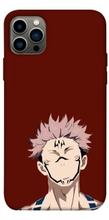 Чохол на Apple iPhone 12 Pro (6.1") Sakuna v3 фото 1 з 1