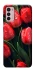 Чохол на Motorola Moto G42 Червоні тюльпани фото 1 з 1