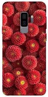 Чохол на Samsung Galaxy S9+ Midnight1 фото 1 з 1