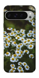 Чохол на Google Pixel 9 Pro XL Ромашки v13 фото 1 з 1