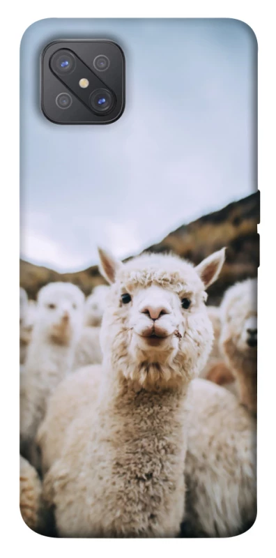 Чехол на Oppo A92s Лама фото 1 из 1
