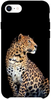 Чохол на Apple iPhone SE (2020) Leopard v2 фото 1 з 1