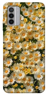Чохол на Nokia G42 Camomile фото 1 з 1