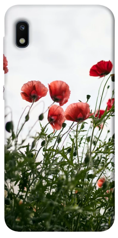 Чохол на Samsung Galaxy A10 (A105F) Поле маків фото 1 з 1
