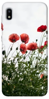 Чохол на Samsung Galaxy A10 (A105F) Поле маків фото 1 з 1