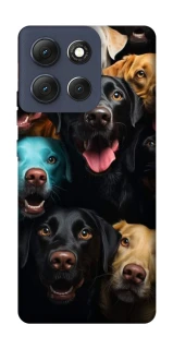 Чехол на Motorola Moto G86 Собаки фото 1 из 1