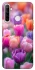Чохол на Realme 6i Тюльпанове поле фото 1 з 1