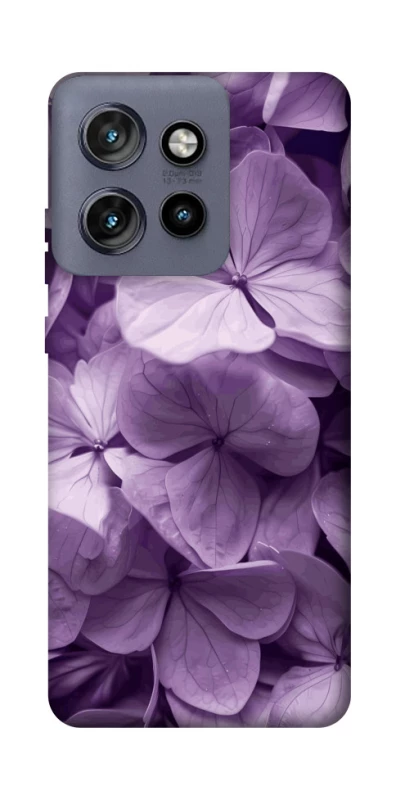 Чохол на Motorola Edge 50 Neo Floral Symphony фото 1 з 1