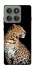 Чохол на Motorola Edge 60 Pro Leopard v2 фото 1 з 1