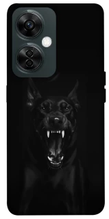 Чехол на OnePlus Nord CE 3 Lite Доберман фото 1 из 1
