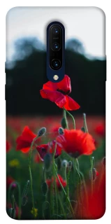 Чехол на OnePlus 7 Pro Мак фото 1 из 1