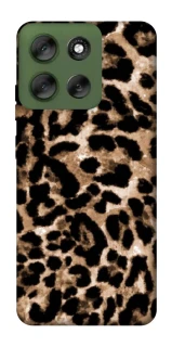 Чехол на Motorola Moto G56 5G Leopard Skin v4 фото 1 Чехол на Motorola Moto G56 5G Leopard Skin v4 фото 1 из 1