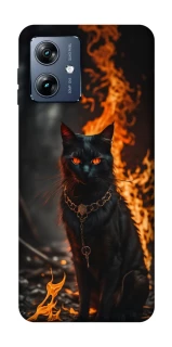 Чохол на Motorola Moto G54 Power Вогняний кіт фото 1 з 1