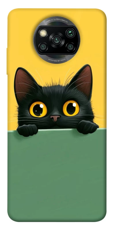 Чохол на Xiaomi Poco X3 NFC / Poco X3 Pro Black cat v2 фото 1 з 1
