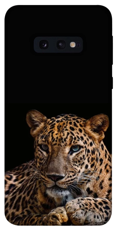 Чохол на Samsung Galaxy S10e Leopard v4 фото 1 з 1
