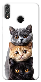 Чохол на Huawei Honor 8X Гарні котики фото 1 з 1