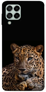 Чехол на Samsung Galaxy M53 5G Leopard v4 фото 1 из 1
