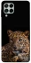 Чехол на Samsung Galaxy M53 5G Leopard v4 фото 1 из 1