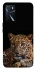 Чохол на Oppo A16s / A16 Leopard v4 фото 1 з 1