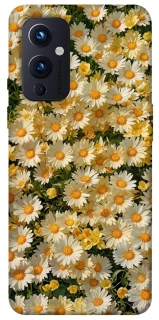 Чехол на OnePlus 9 Camomile фото 1 из 1