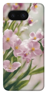 Чехол на Google Pixel 8 Spring фото 1 из 1