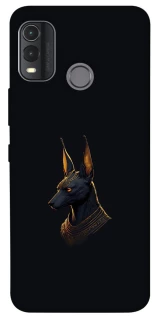 Чехол на Nokia G11 Plus Anubis фото 1 из 1