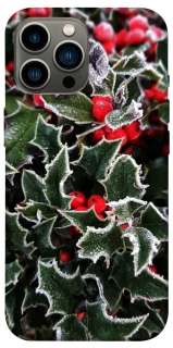 Чехол на Apple iPhone 12 Pro Max (6.7") Новогодний v32 фото 1 из 1