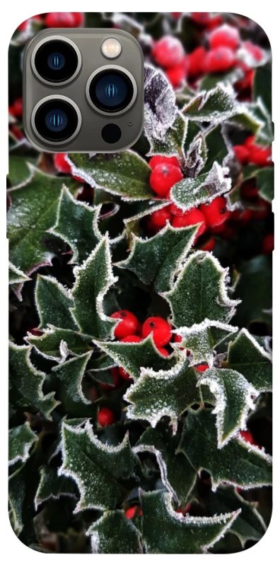 Чохол на Apple iPhone 13 Pro Max (6.7") Новорічний v32 фото 1 з 1