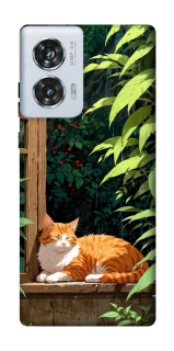 Чохол на Motorola Edge 50 Fusion red cat фото 1 з 1