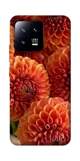 Чехол на Xiaomi 13 Flower1 фото 1 Чехол на Xiaomi 13 Flower1 фото 1 из 1
