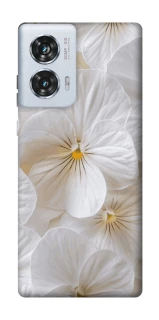 Чехол на Motorola Edge 50 Fusion Pastel Dreams фото 1 из 1