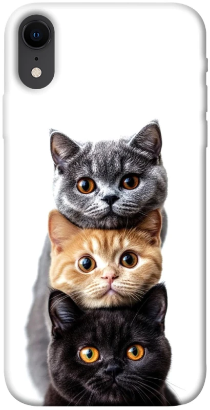 Чохол на Apple iPhone XR (6.1") Гарні котики фото 1 з 1