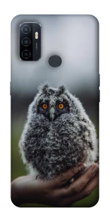 Чохол на Oppo A53 / A32 / A33 Совеня фото 1 Чохол на Oppo A53 / A32 / A33 Совеня фото 1 з 1