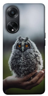 Чехол на Oppo A58 4G Совёнок фото 1 из 1
